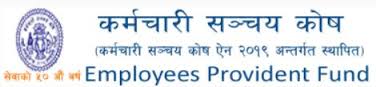 GOVERNMENT ORGANISATIONS